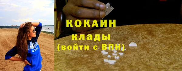 ГАЛЛЮЦИНОГЕННЫЕ ГРИБЫ Бородино