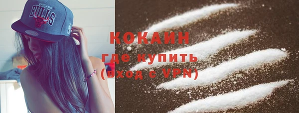 ГАЛЛЮЦИНОГЕННЫЕ ГРИБЫ Бородино