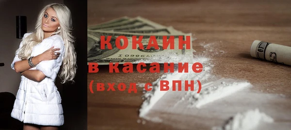 ГАЛЛЮЦИНОГЕННЫЕ ГРИБЫ Бородино