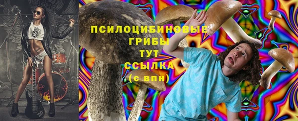МДПВ Бугульма