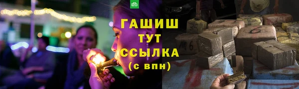 ГАЛЛЮЦИНОГЕННЫЕ ГРИБЫ Бородино