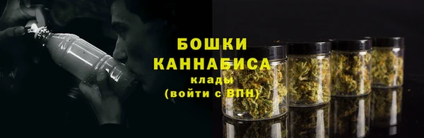 стафф Бронницы